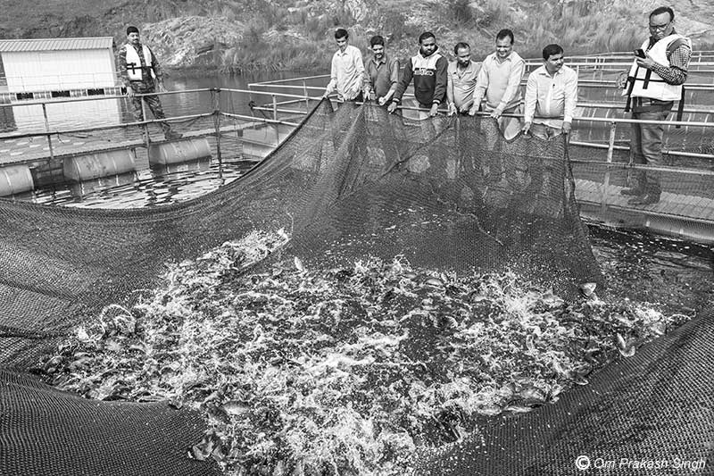 SHG members proudly displaying their fish stock at the cage fish farm in the mining pit in Nandna village, Dumka district, Jharkhand